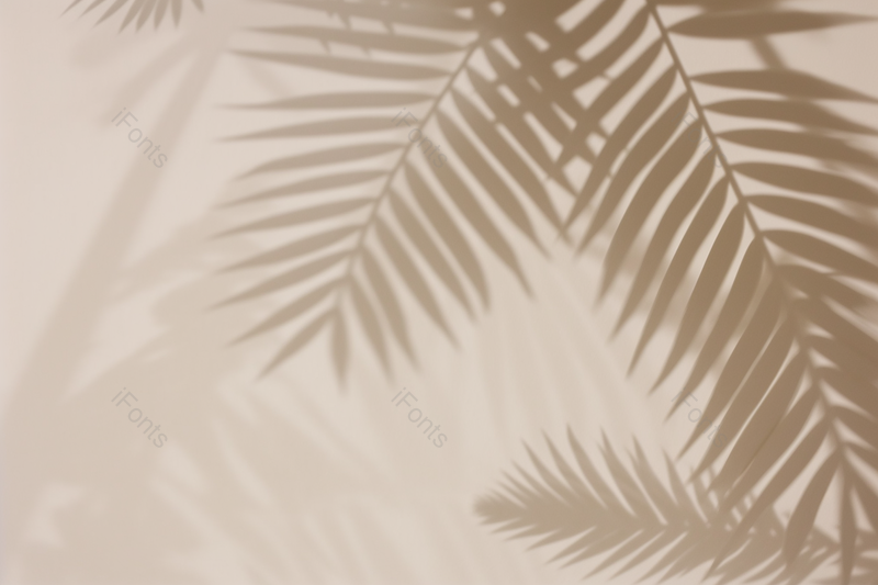 光影背景素材光影植物背景摄影真实,高清,摄影图,摄影图片,图片大全,摄影图免费下载